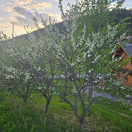 Le Repaire Viking Bed & Breakfast Sainte-Rose-du-Nord Exterior foto